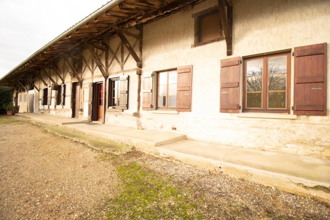 Ferme Bressane - 4 Chambres Saint-Etienne-du-Bois  ภายนอก รูปภาพ